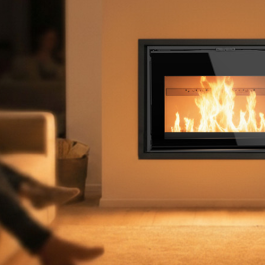 TERMOPALEX NBX_80F