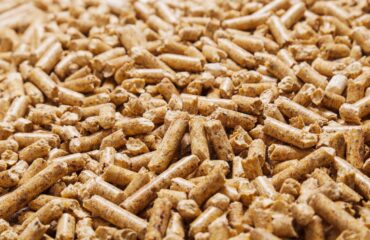pellets-on-table (1) pellets